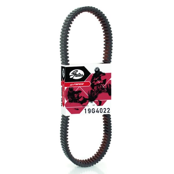 zoom CVT Drive Belt 19G4022 Pn 225.19G4022 7766