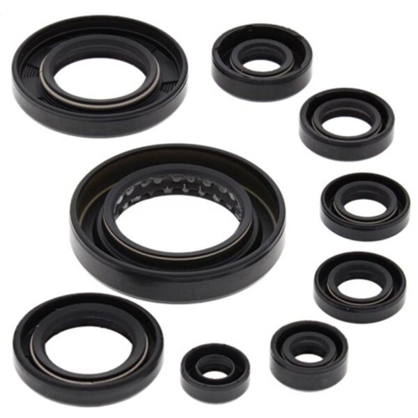zoom Engine Oil Seal Kit Honda TRX 420 FMFETMTE 2007 20 10499