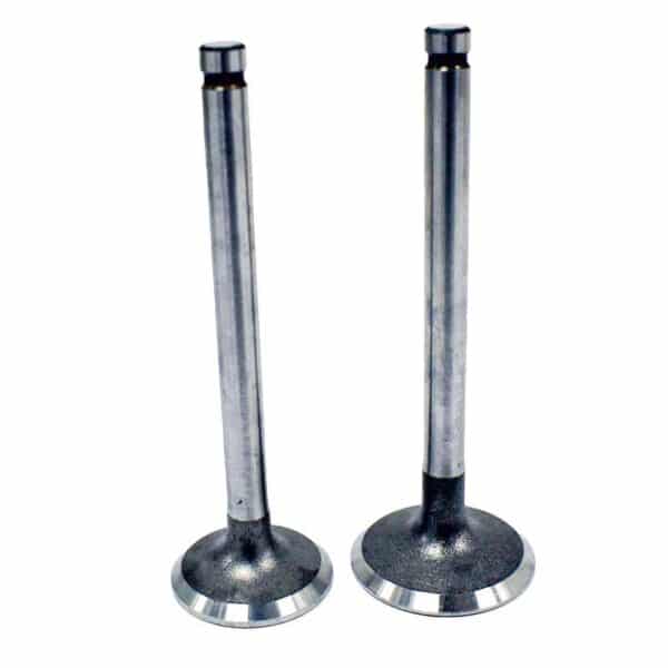 zoom Engine Valve Pair Honda TRX90 93 06 90EX 07 08 11465
