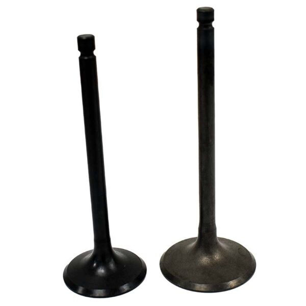 zoom Engine Valve Pair Polaris Sportsman 550 09 14 1 11551