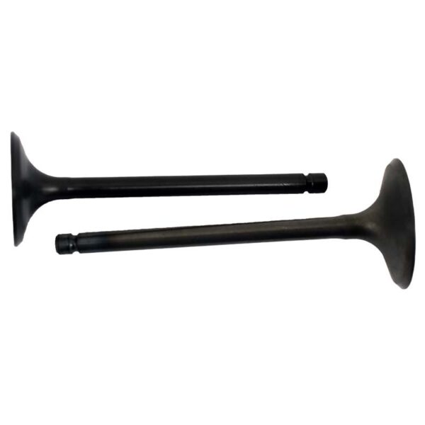 zoom Engine Valve Pair Polaris Sportsman 550 09 14 2 11551