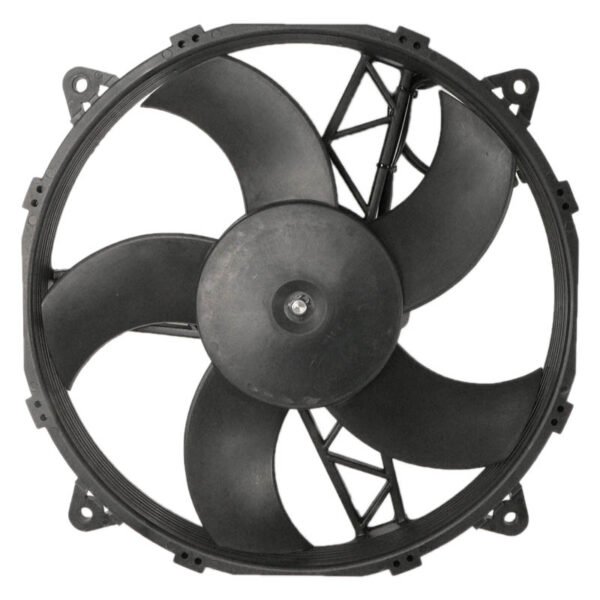 zoom RFM0006 1 272