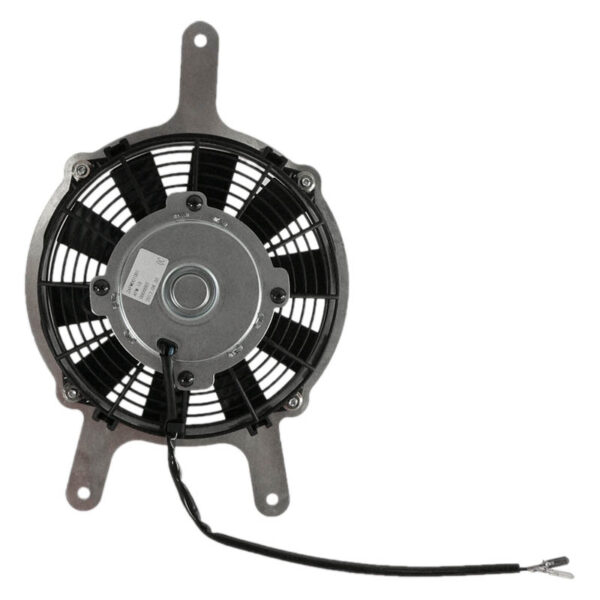 zoom RFM0008 1 274