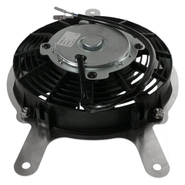 zoom RFM0008 2 274