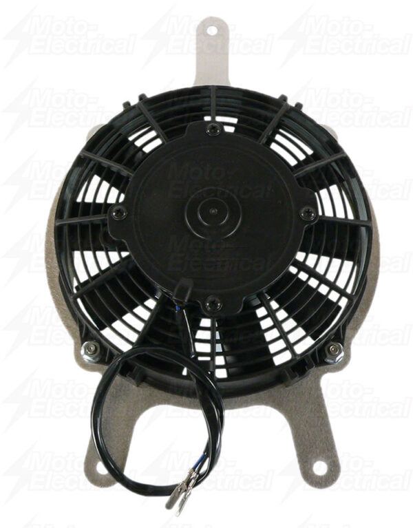 zoom RFM0008 274